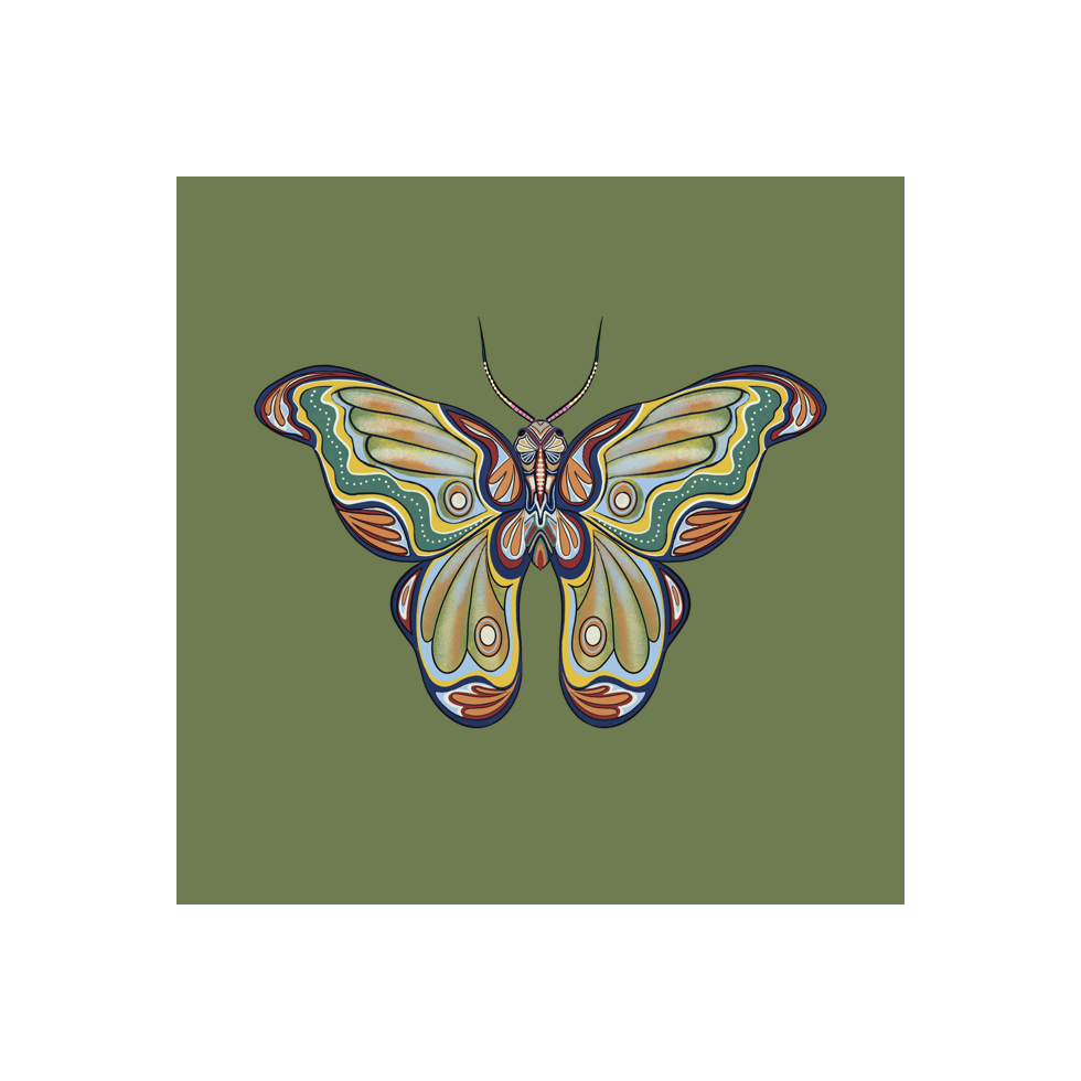 The Moth Experiment #12 static token preview