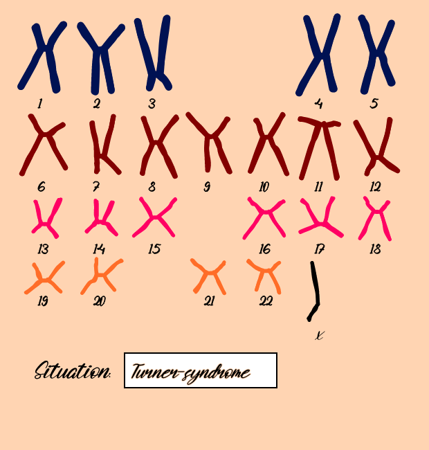 "Karyotype" #7 static token preview