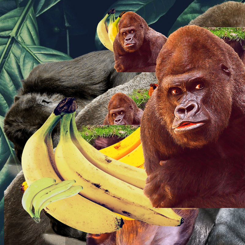 Banana #1 #5 static token preview