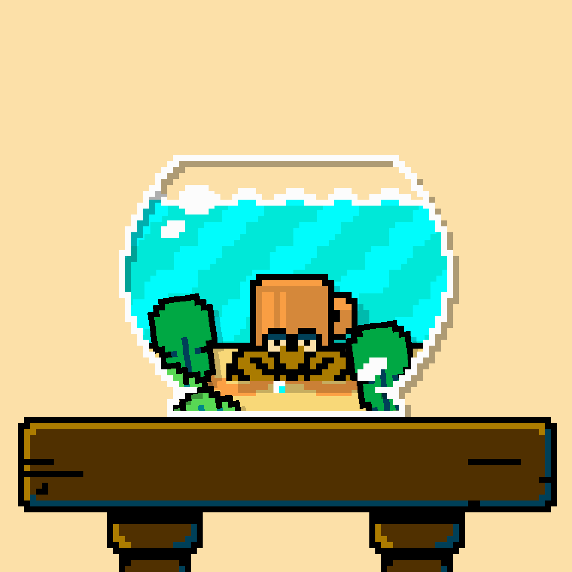 hermit crab #2 static token preview