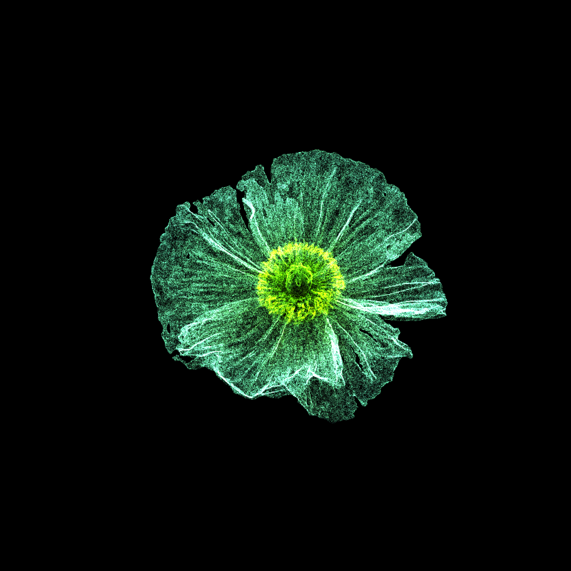 White Poppy 30 #22 static token preview