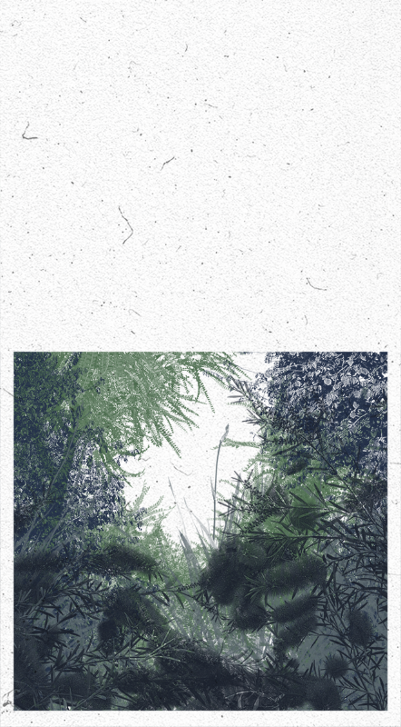 Life in the forest! #15 static token preview