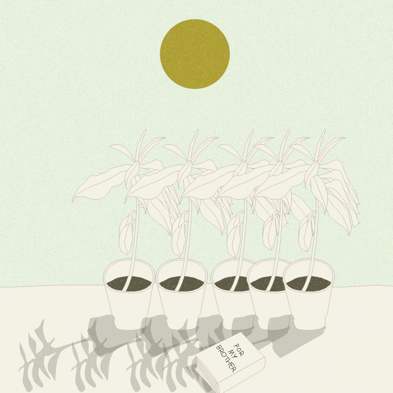Still Life #12 #18 static token preview