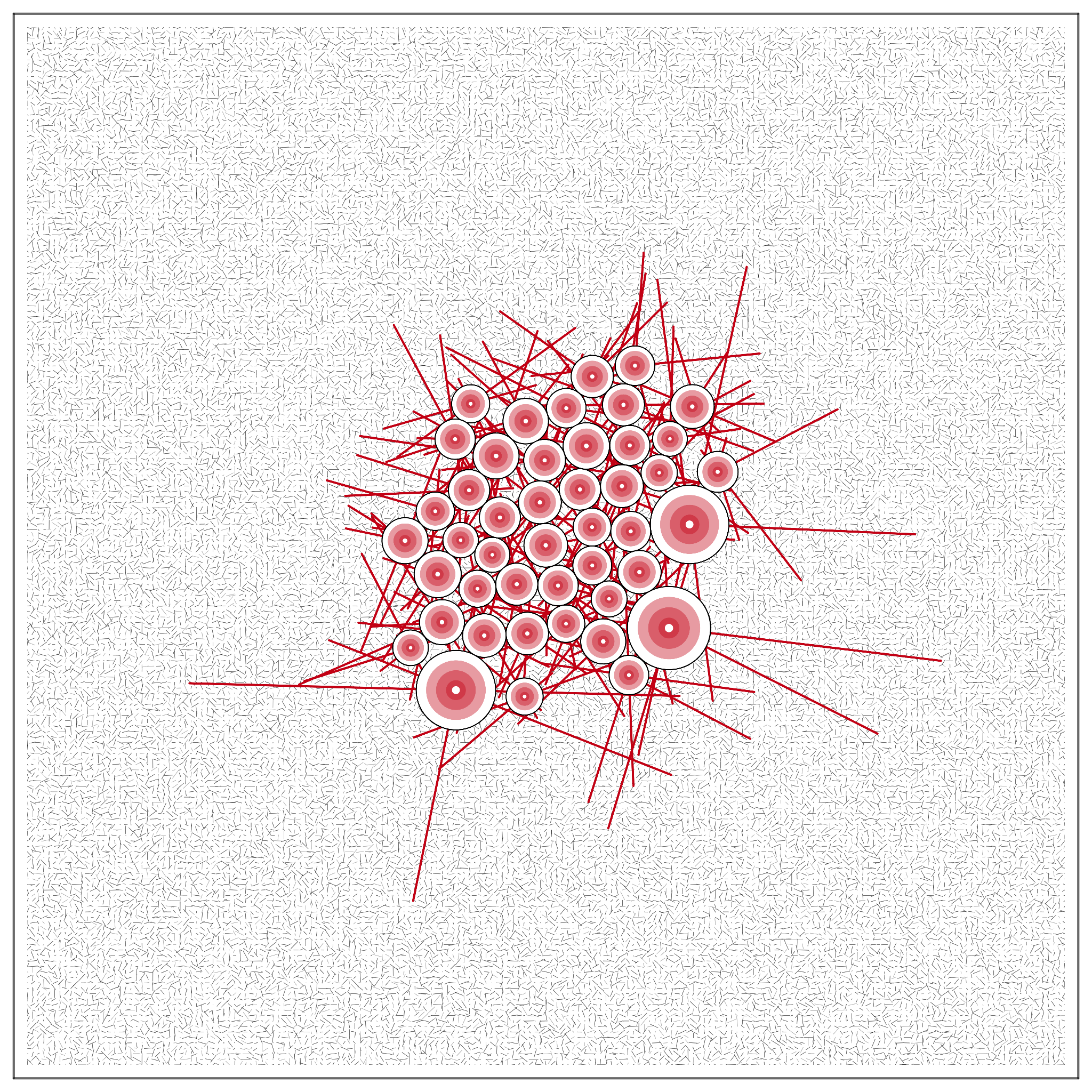 T#6Z#O #18 static token preview