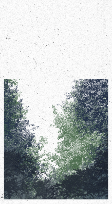 Life in the forest! #23 static token preview