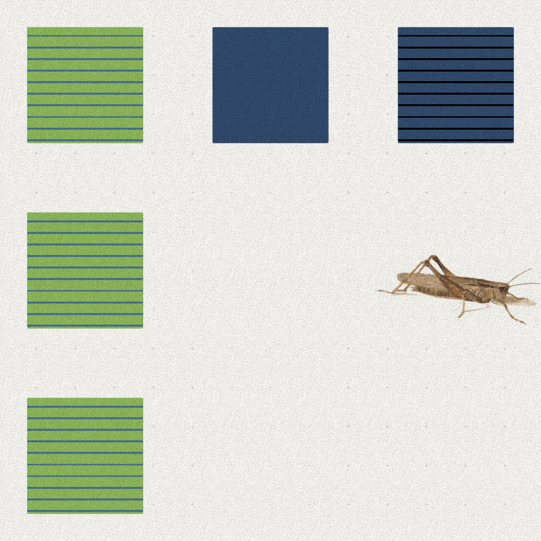 Grasshopper #19 static token preview
