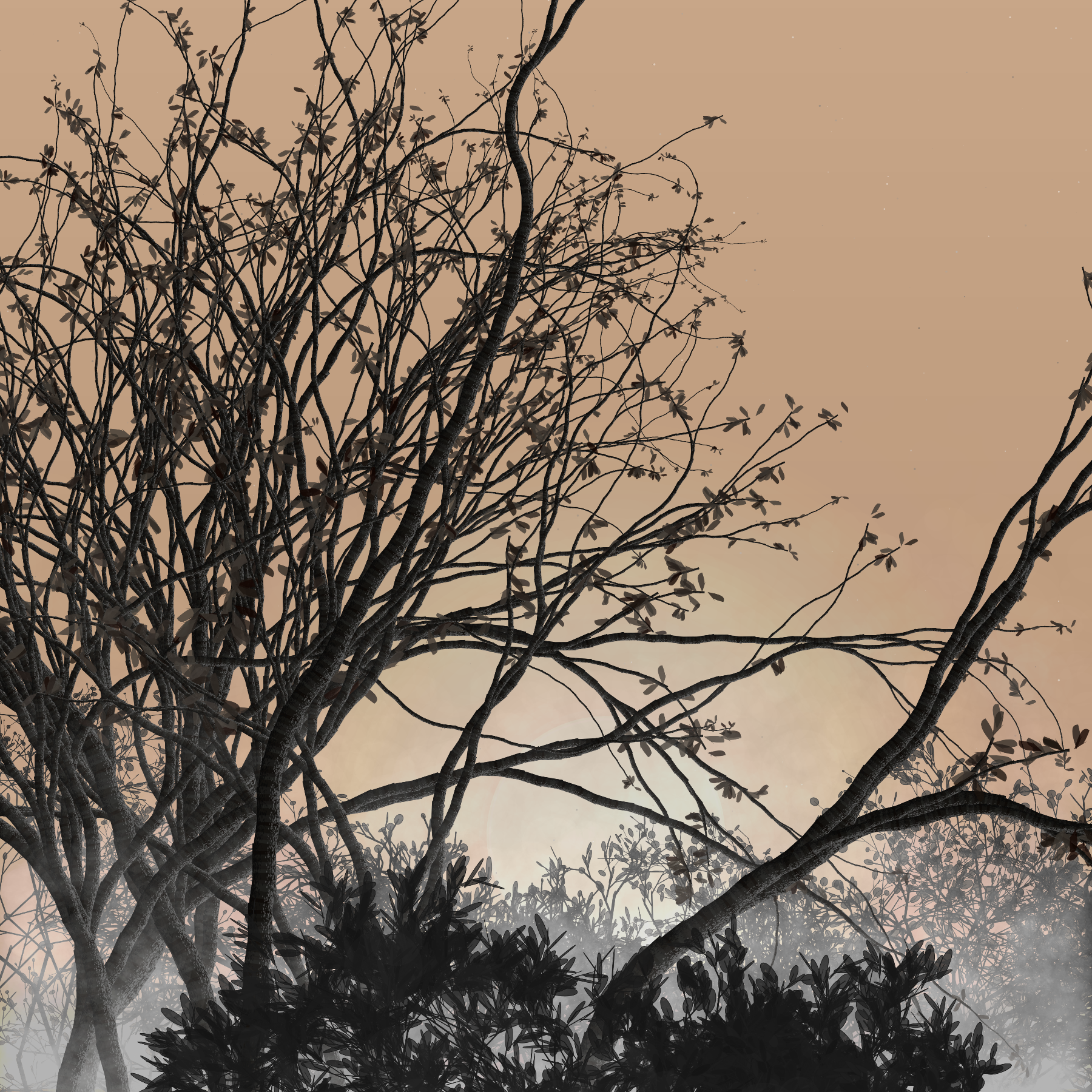 Morning Mist #20 static token preview