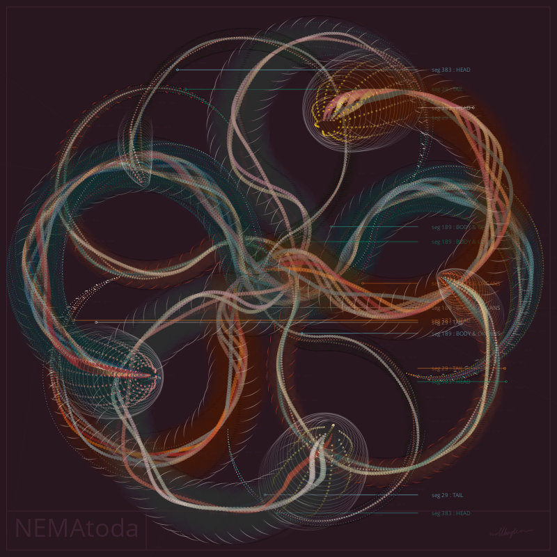 NEMA #17 static token preview