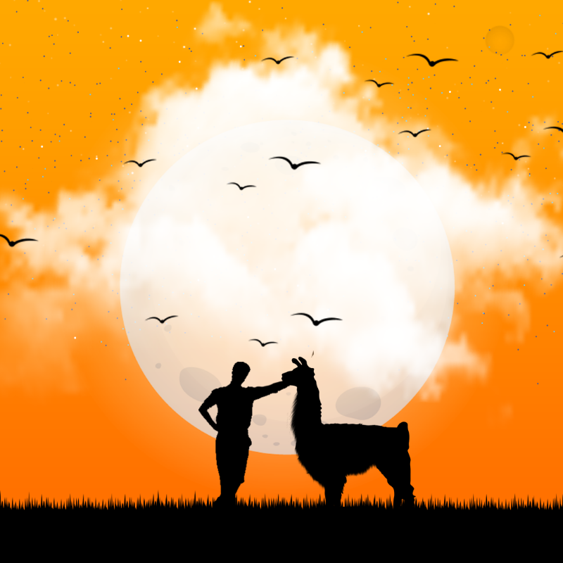 We Care...Llama #2 static token preview