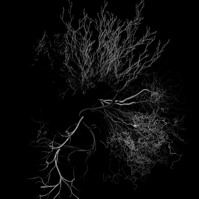 Botanical Ghosts #2 static token preview