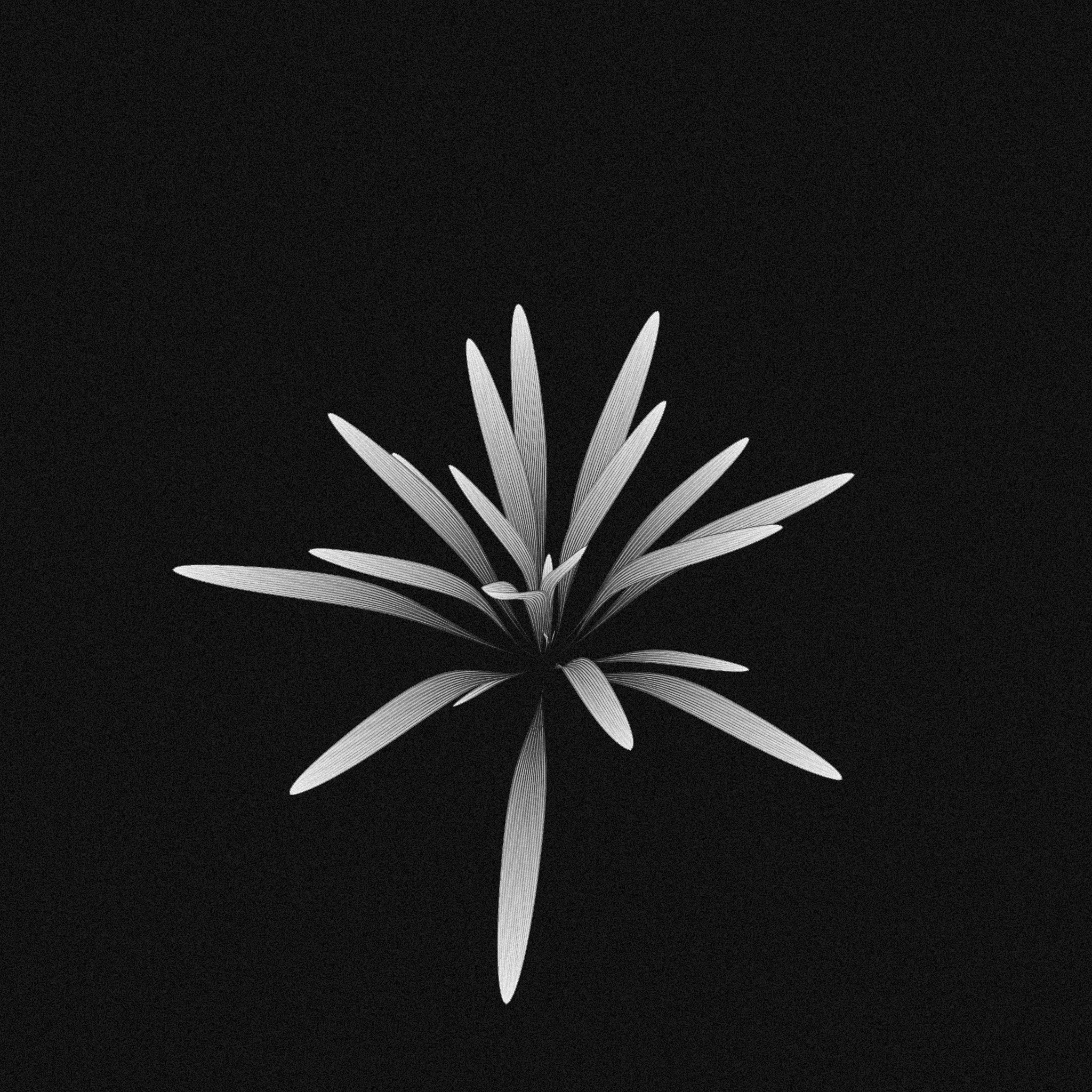 plant #19 static token preview