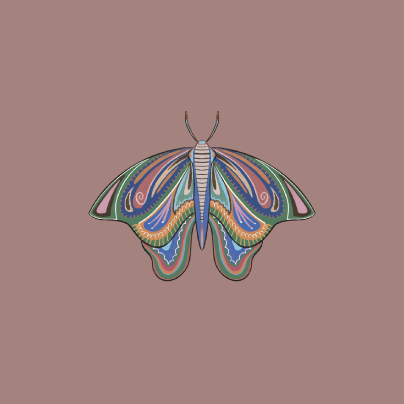 The Moth Experiment 2.0 P2 #5 static token preview