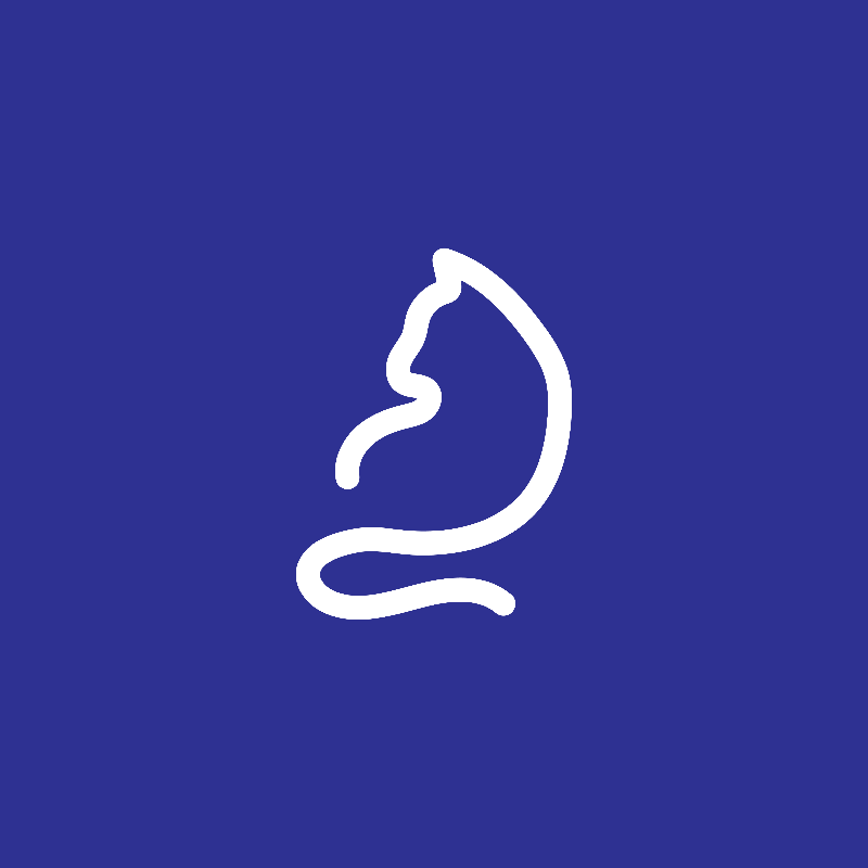 PAWS International Fundraiser #4 static token preview