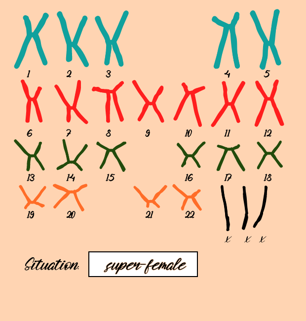 "Karyotype" #5 static token preview