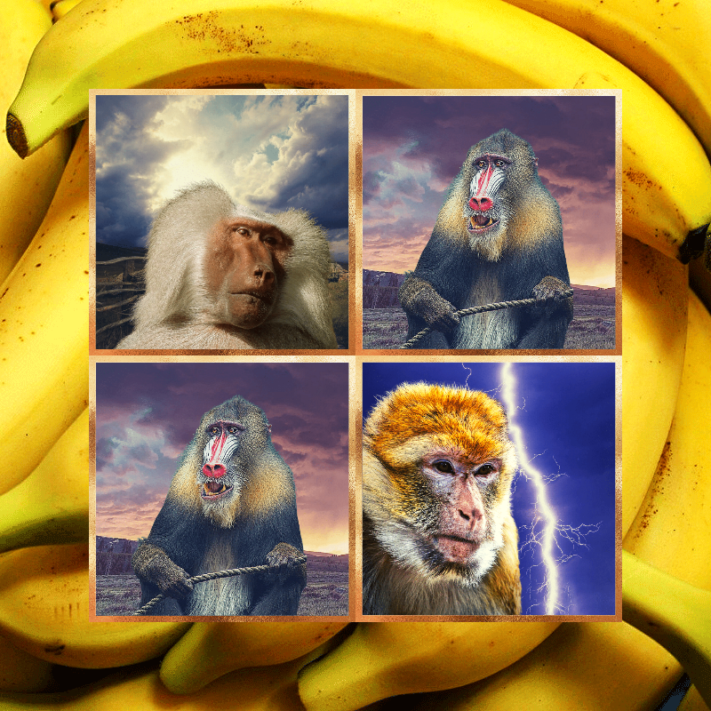 Banana legends #23 static token preview