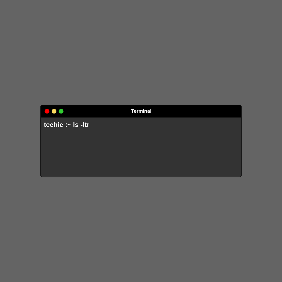 termina in frame #5 static token preview