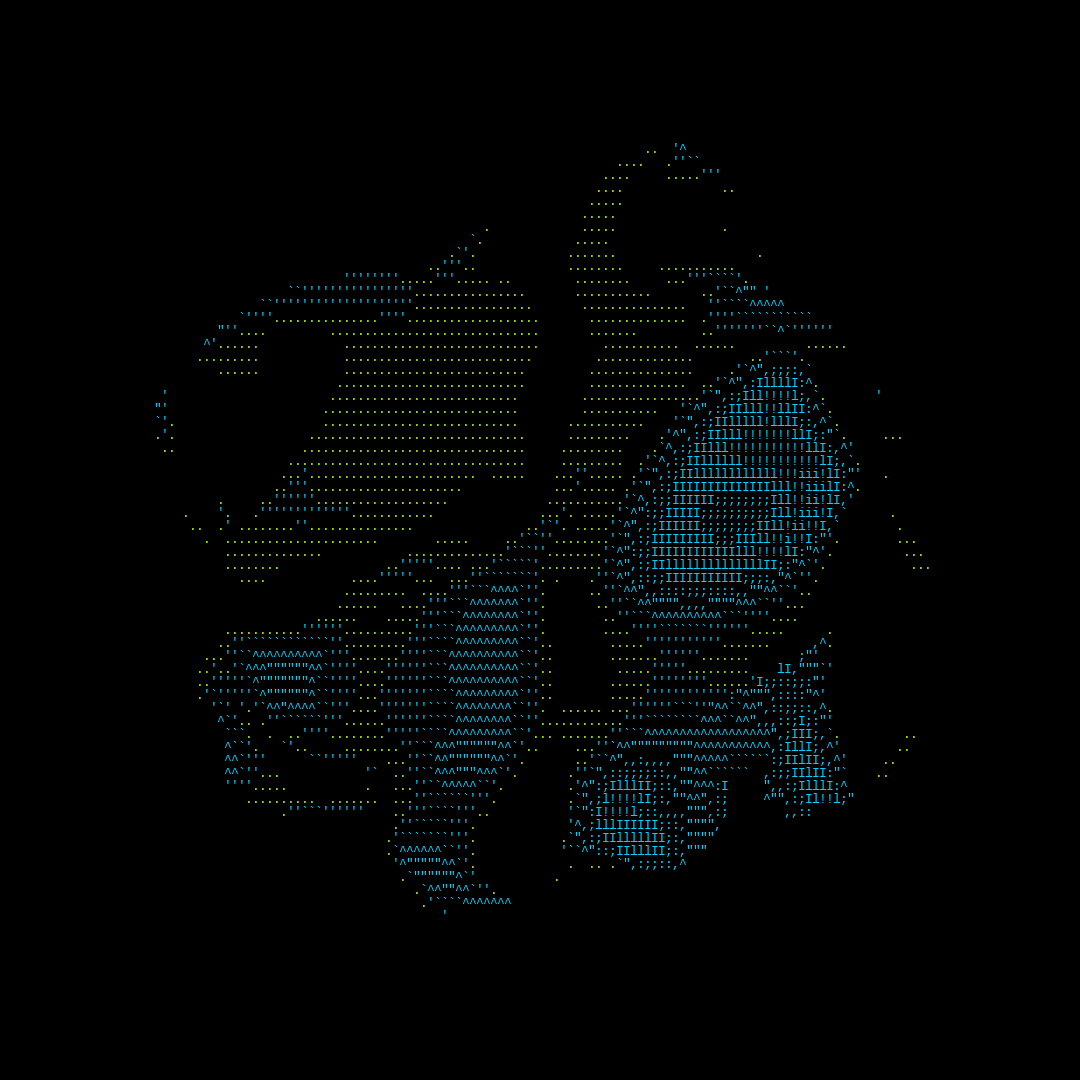 parts of us - ascii #18 static token preview