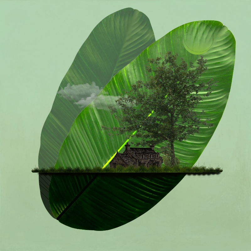 Live in Nature #18 static token preview
