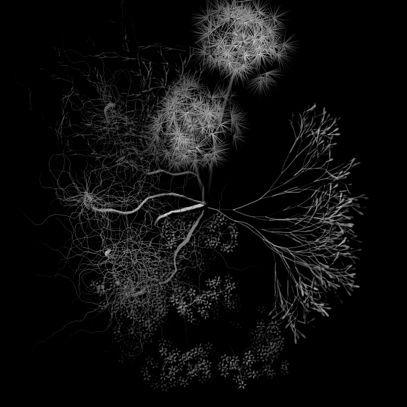 Botanical Ghosts #19 static token preview