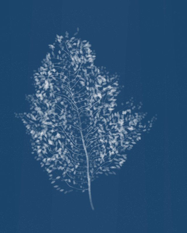 Cyanotypes #8 static token preview
