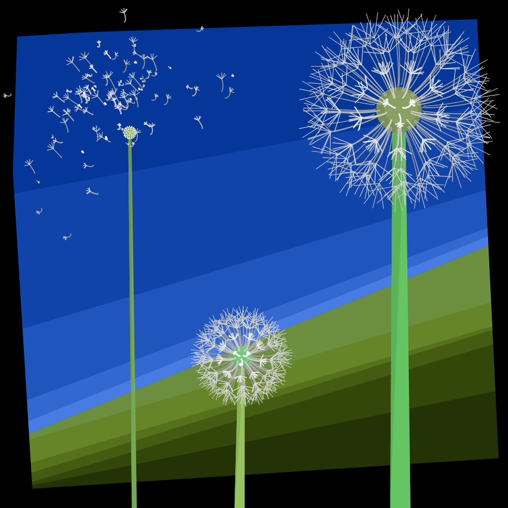 Interactive Seeds #16 static token preview