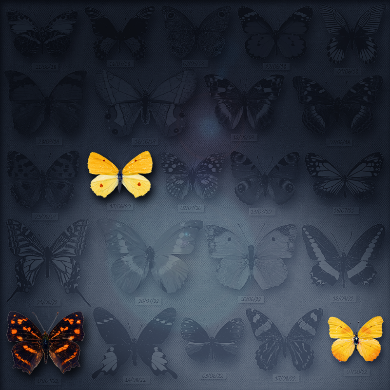 Save Butterfly World #2 static token preview