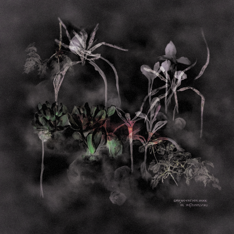 Hauntological Herbarium #3 static token preview
