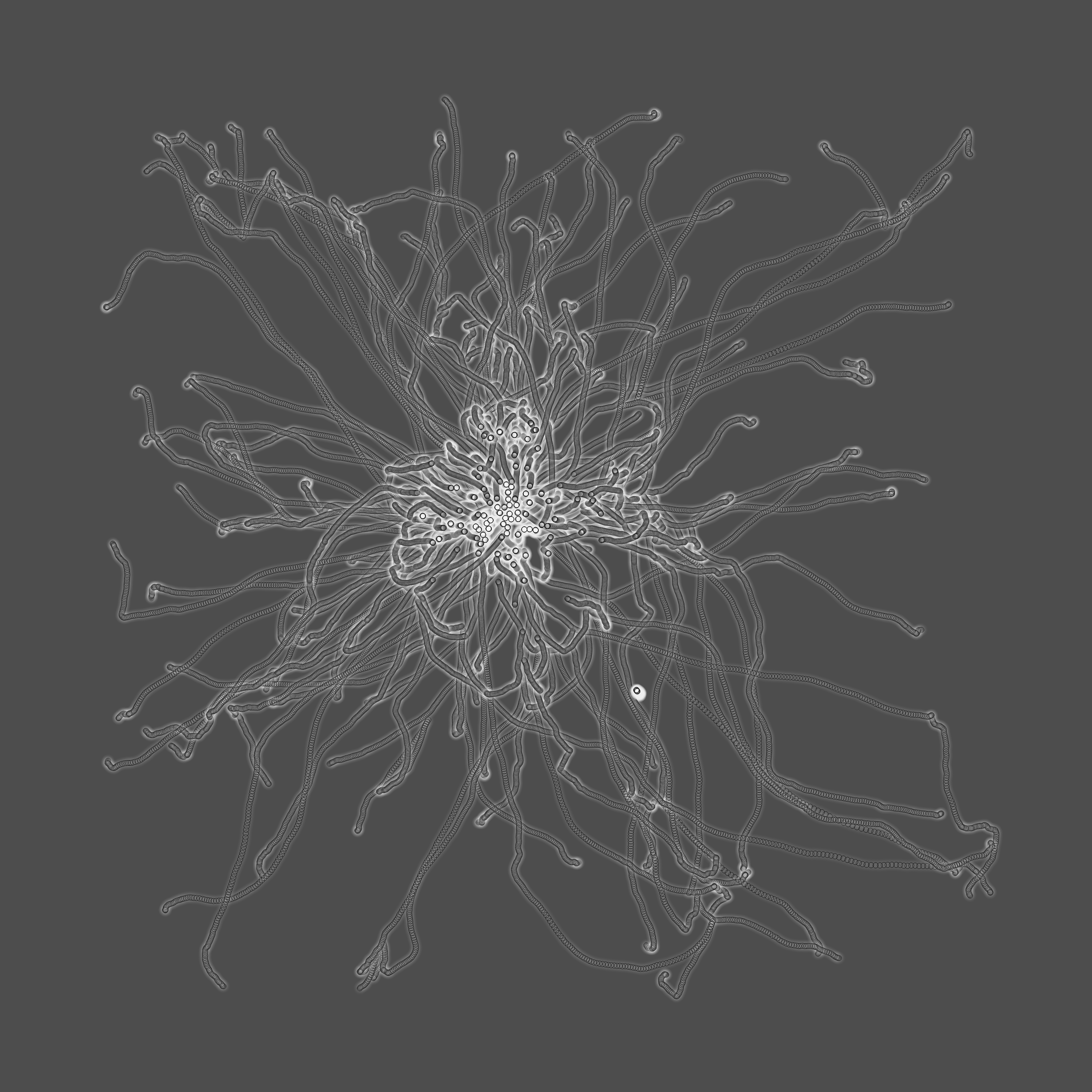 grey fungi wisdom #4 static token preview