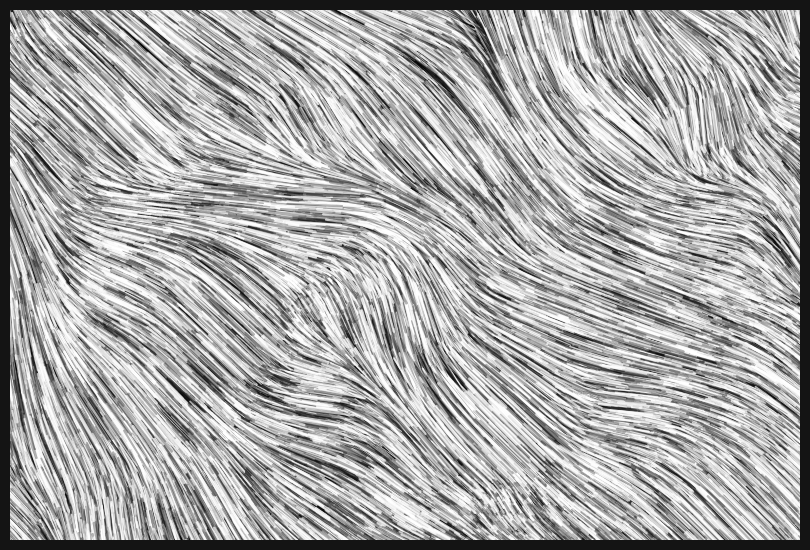 Tūroa #4 static token preview