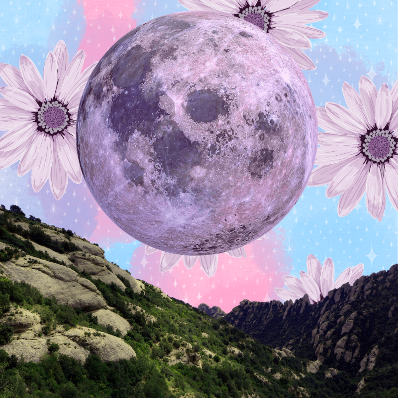 Pink Moon #16 static token preview