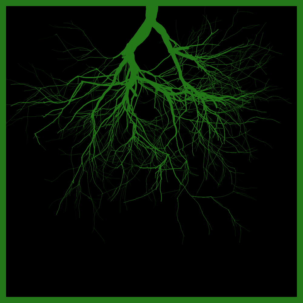 Arbres suspendus #17 static token preview