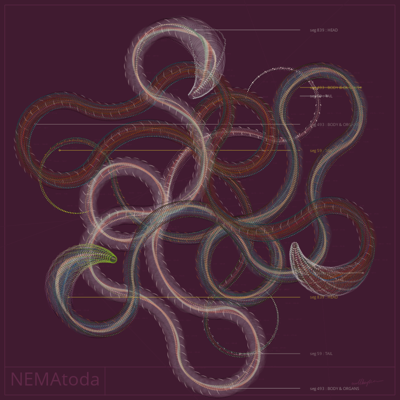 NEMA #19 static token preview