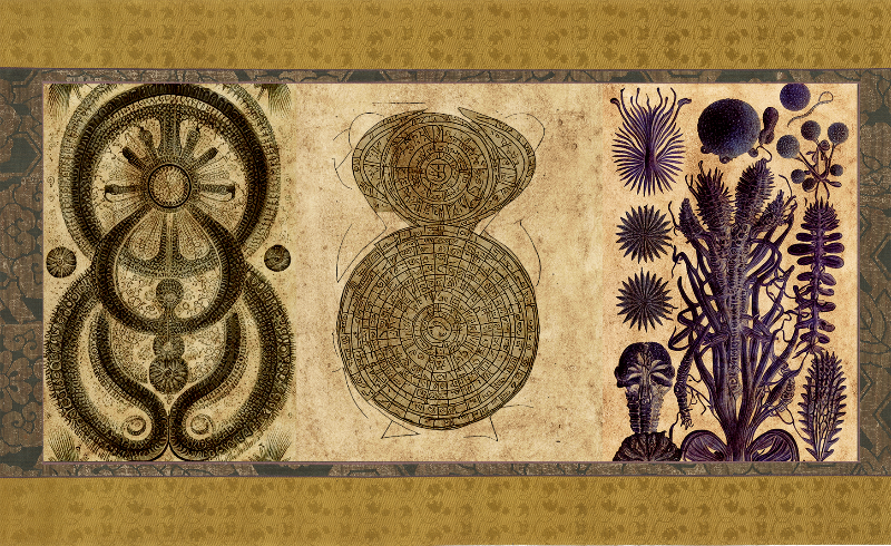 The Emissary Scrolls #23 static token preview