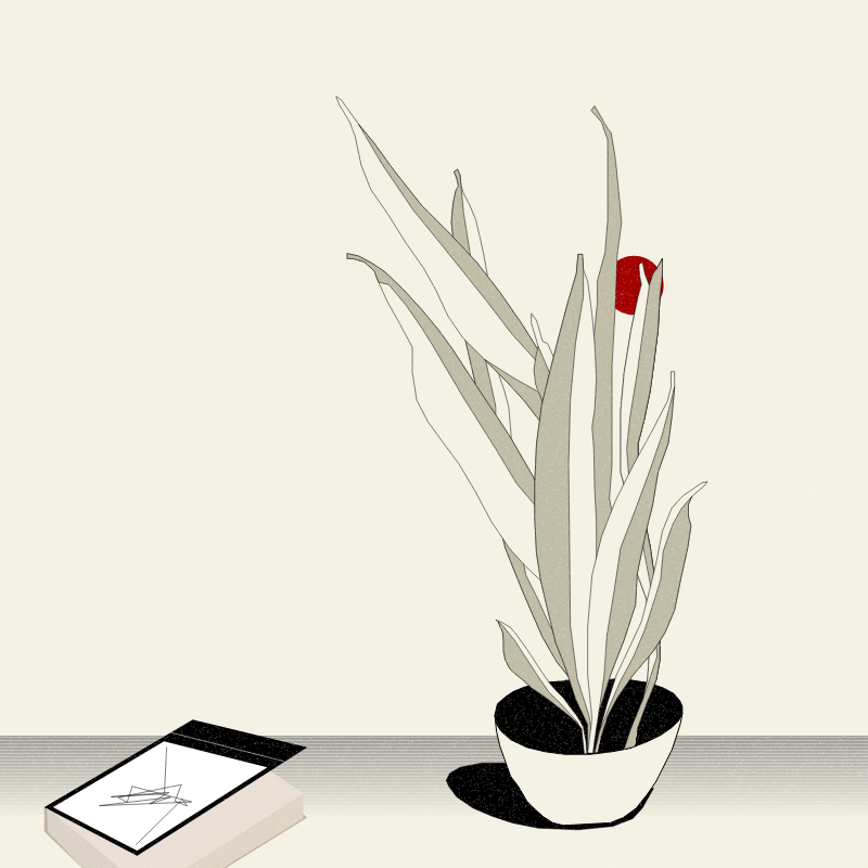 Still Life #2 #2 static token preview