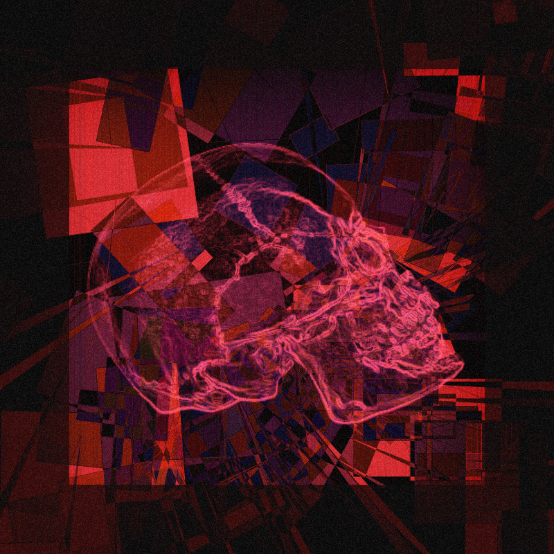 X-ray of a skull #10 static token preview