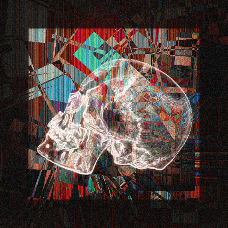 X-ray of a skull #12 static token preview