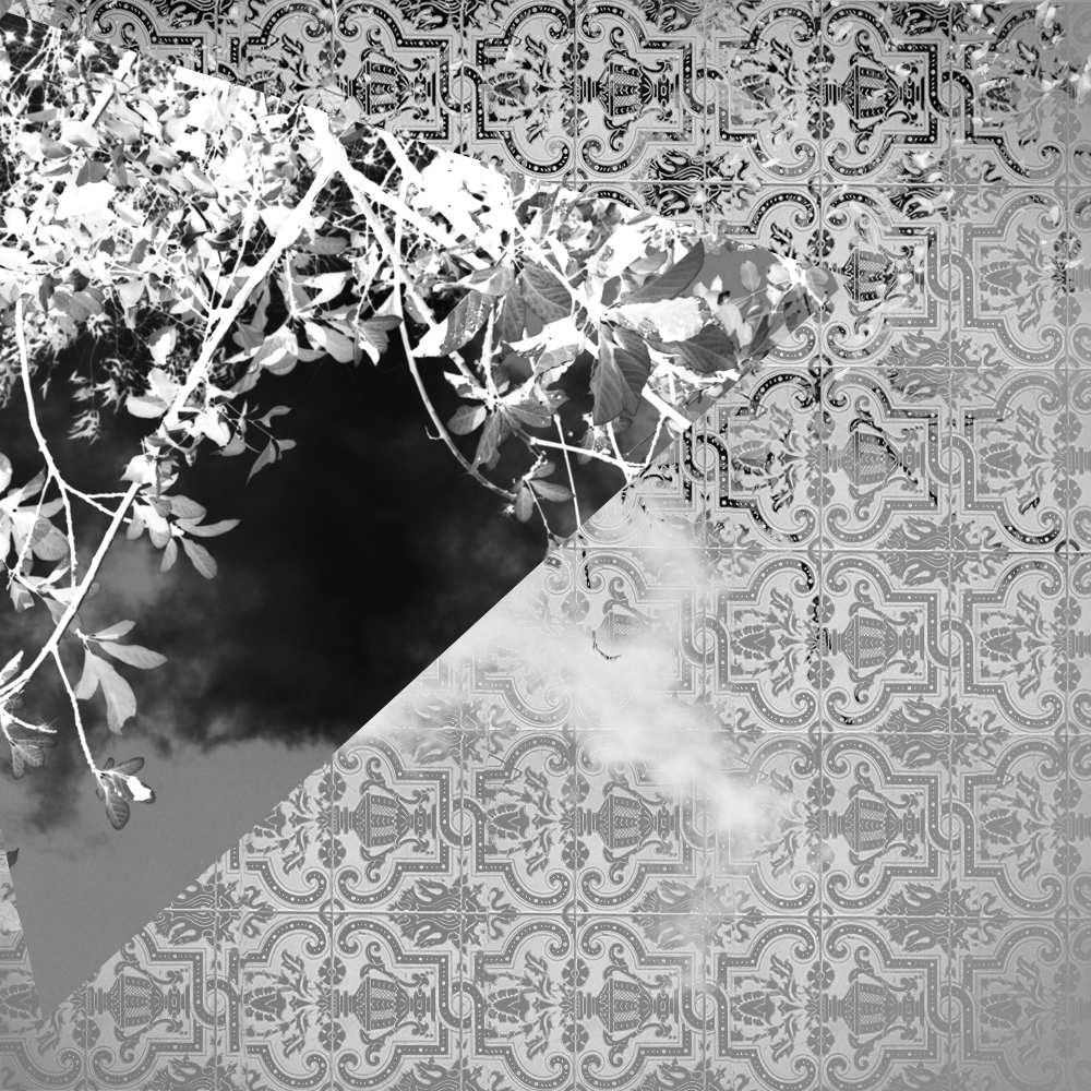 Subjective photography #1 #23 static token preview