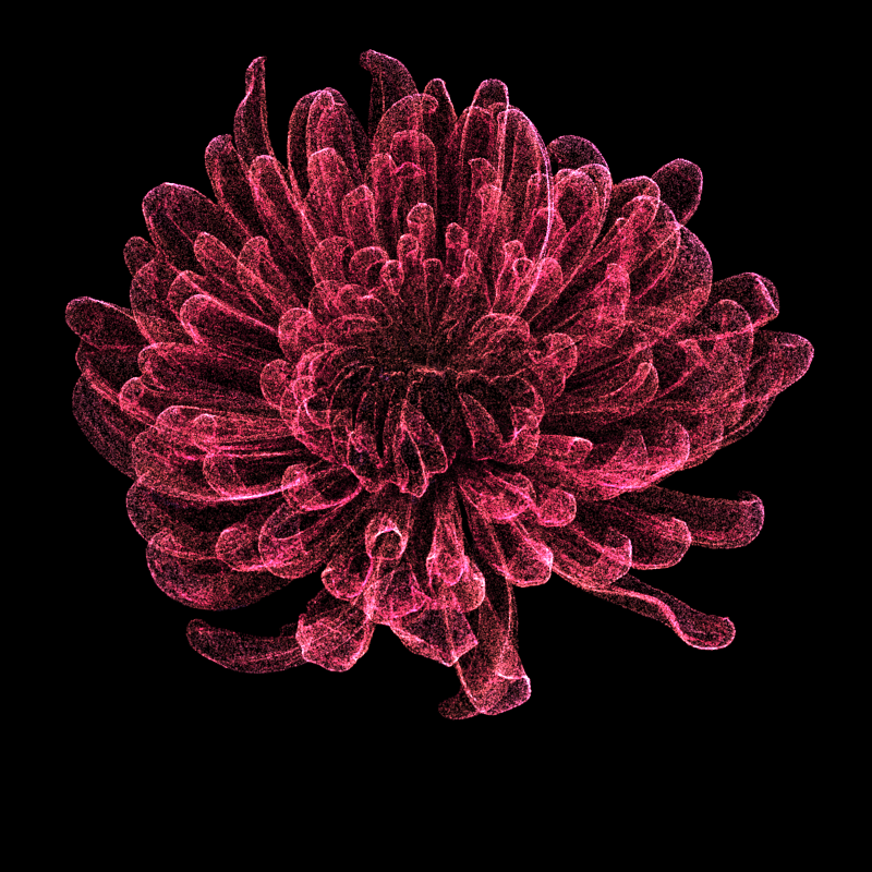 Chrysanthemum Morifolium 30 #4 static token preview