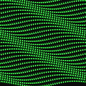 Point waves. Random color project preview