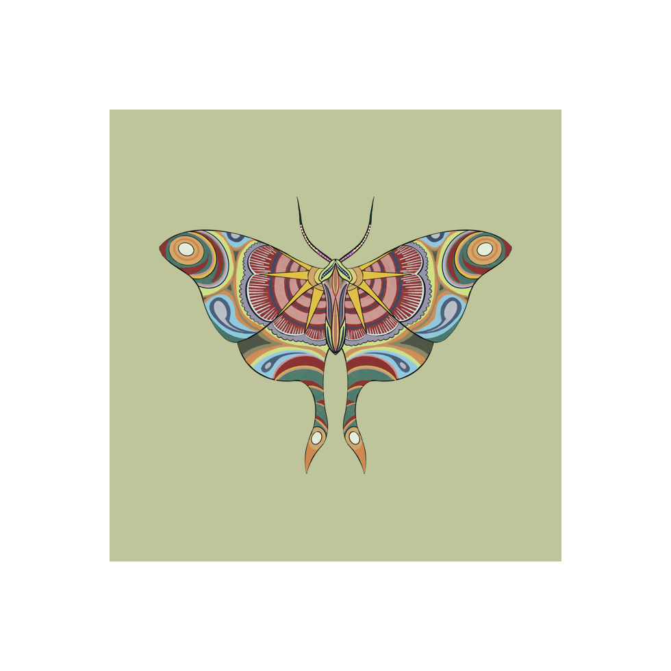 The Moth Experiment #14 static token preview