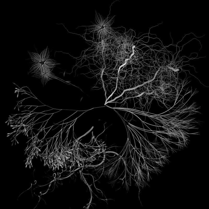Botanical Ghosts #202 static token preview