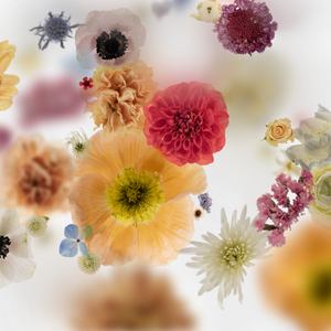 Broken Flowers project preview