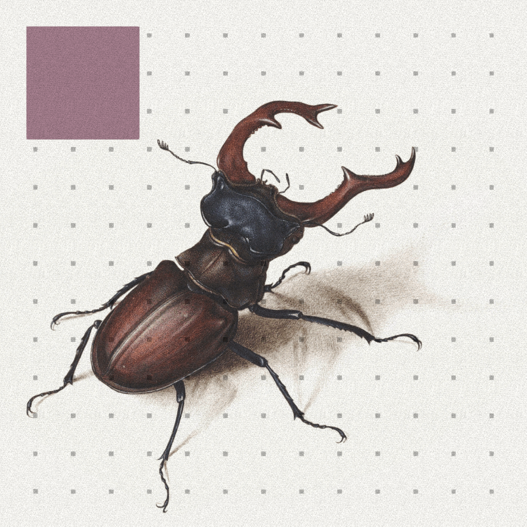 Beetle #12 static token preview