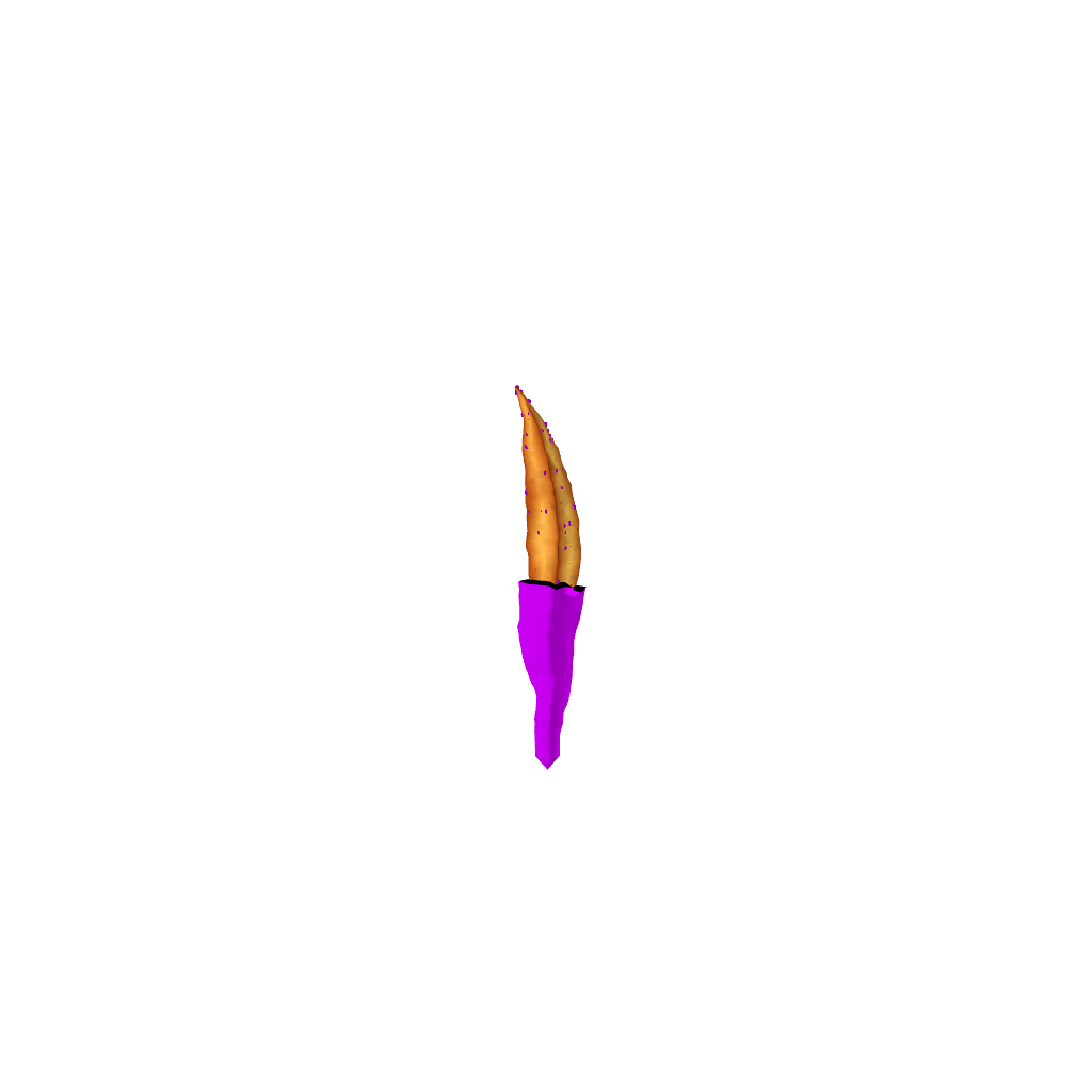 PotatOSTX #249 static token preview