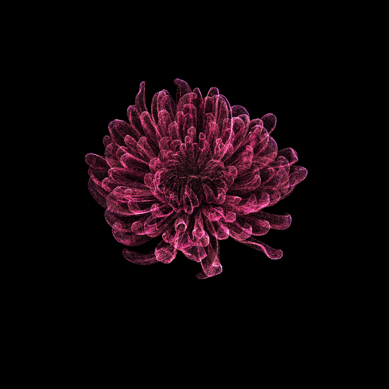 Chrysanthemum Morifolium 30 #5 static token preview