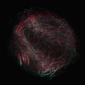 balls in vector fields project preview