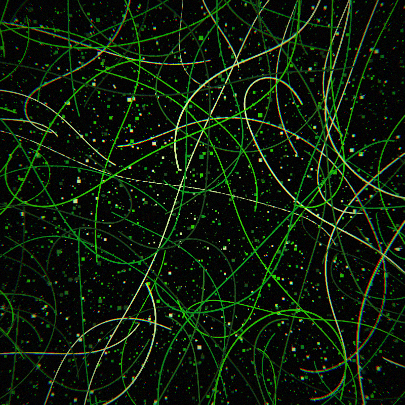 Neon Curves #54 static token preview