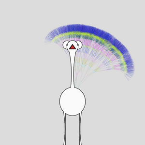 Peacocks project preview