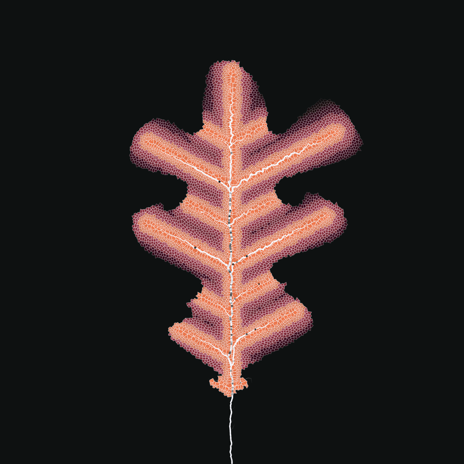Leaf study #6 static token preview