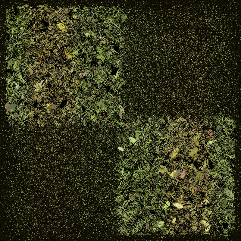 Into the Forestland #4 static token preview
